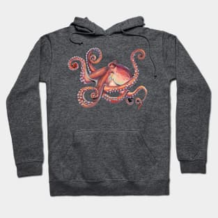 Octopus Hoodie